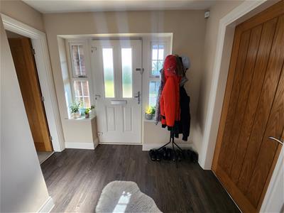 Picture 21